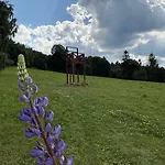 Eduarda Grohmanna * Vrbno pod Pradědem